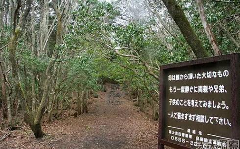 ȫ����׃�B(t��i)��10���ط�����^������ȥ��