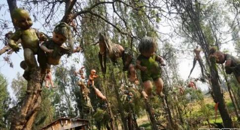 ȫ����׃�B(t��i)��10���ط�����^������ȥ��